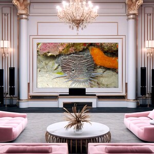 May include: A luxurious living room with a large screen displaying an underwater scene featuring a striped fish. The room has pink sofas, a marble coffee table, and a crystal chandelier, creating an elegant atmosphere.