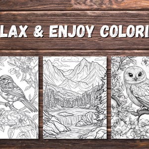 100 Printable Nature Coloring Pages for Adults | PDF Digital Download Floral Stress Relief Mindfulness Art Book image 4