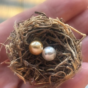 May include: Two pearls, one gold and one white, nestled in a small bird's nest.