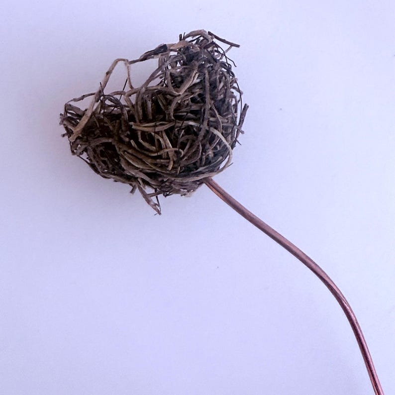 May include: A dried, brown, twig-like, ball-shaped object attached to a thin, copper-coloured wire.