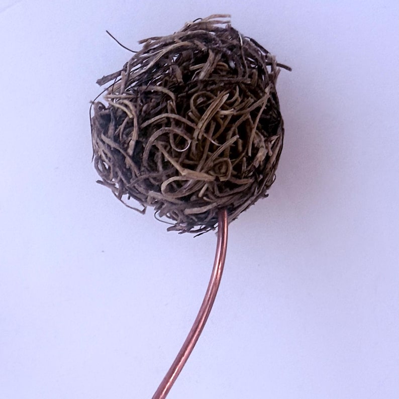 May include: A brown, dried, twig-like ball on a copper wire stem. The ball is made of many small, thin, brown twigs that are intertwined.