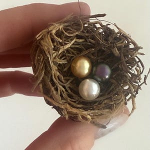 May include: Three pearls nestled in a bird's nest. One pearl is gold, one is white, and one is iridescent purple.