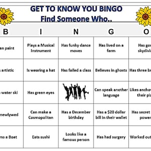 IJsbrekerbingo: leuk mixspel voor reünie of zakelijk evenement, 30 bingokaarten naar je opgestuurd