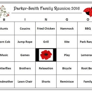 Bingogame voor familiereünie: gezinspret voor een picknick of een gezellig samenzijn. Inclusief 30 kaarten per post.