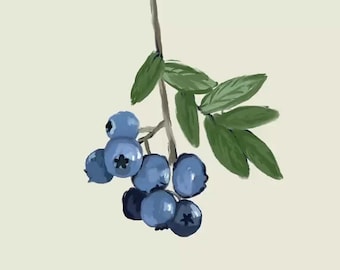 Blueberries Fruit Wall Art Print | Minimalist Kitchen Decor | Fruit Illustration | Modern Botanical Fruit Artwork
