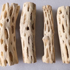 May include: Four pieces of cholla wood, light tan in color, with numerous holes and a textured surface. The pieces vary in length and shape, with a natural, organic appearance. Ideal for crafting or decorative purposes.