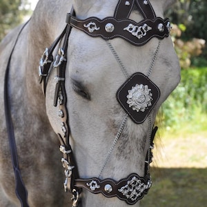 fancy horse bridle with reins and breastplate premium quality cowhide leather and brass ornaments best gift for horse lovers