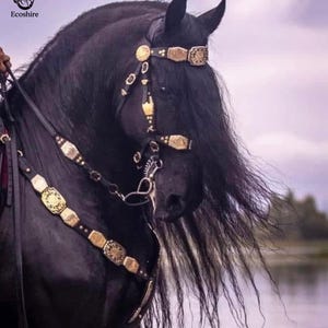 Briglia E Redini Inglesi Per Cavalli Da Tiro – Equi Royal Pelle Nera Premium – Taglia Draft Horse