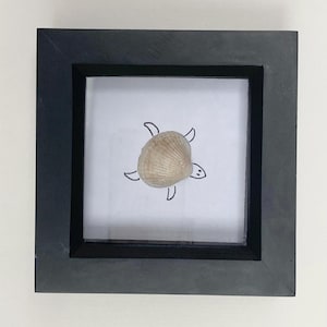 Puede incluir: Obra de arte enmarcada con un diseño de tortuga marina hecha con concha. La tortuga está hecha de una concha marrón claro, con detalles en negro para la cabeza, aletas y cola. Está colocada sobre un fondo blanco dentro de un marco negro.