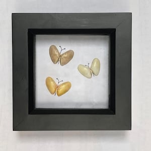 Puede incluir: Una obra de arte enmarcada con tres objetos con forma de mariposa en tonos amarillos y marrones. Las mariposas están sobre un fondo blanco dentro de un marco negro cuadrado. La obra es una pieza decorativa.
