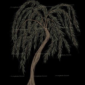 Tree Weeping Willow Art Digital Tree Art Green Tree Lover Gift Digital Download Wall Art Weeping Willow Wall Decor Willow Tree