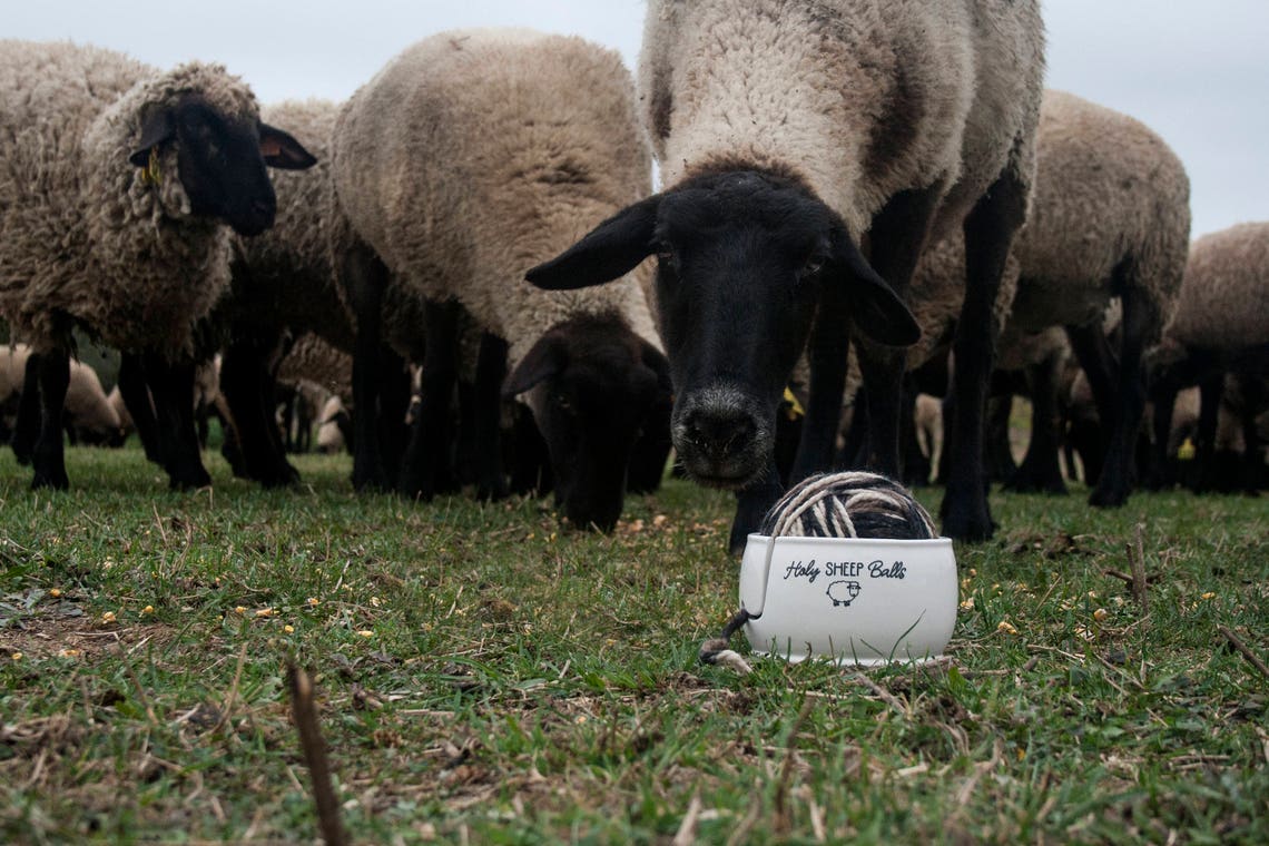 Ceramic Yarn Bowl Holy Sheep Balls Yarn Bowl Sheep Etsy