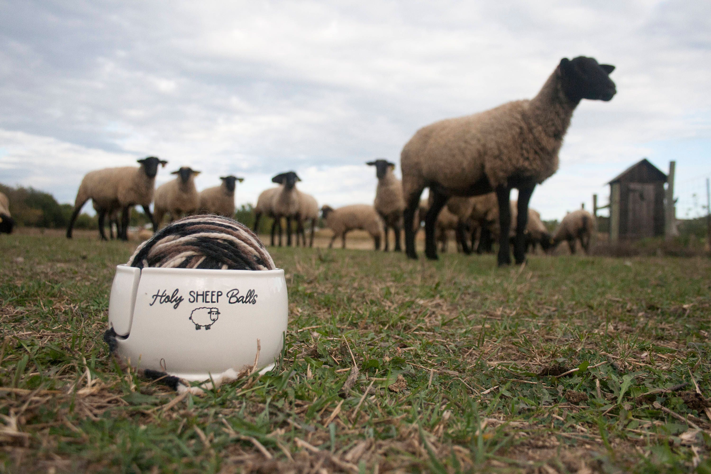 Ceramic Yarn Bowl Holy Sheep Balls Yarn Bowl Sheep Etsy