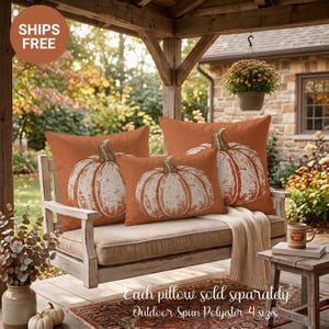 Vintage White Pumpkin Pillow | Distressed Heirloom Pumpkin Outdoor Pillow | Rustic Fall Throw Pillow | Autumn Farmhouse Porch Decor