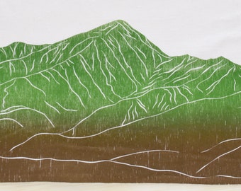 FREE SHIPPING flour sack kitchen towel dish towel tea towel Colorado Mountain range Mount Elbert *14er*