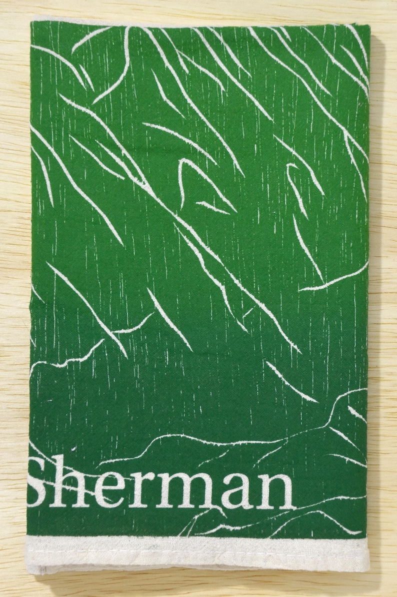 JenGStudios Mt Sherman Colorado Mountain Dish Towel
