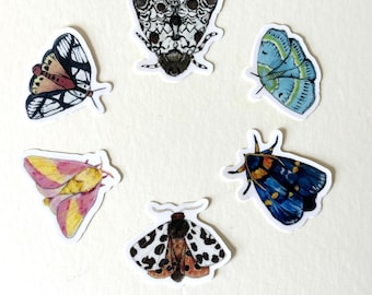 Moth Stickers – Waterproof Vinyl Stickers of Painted Moths