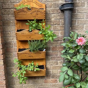 May include: A wooden herb garden with four tiered planters, labelled with herbs such as parsley, rosemary, dill and thyme. The garden is mounted on a brick wall, with green herbs overflowing from the planters.