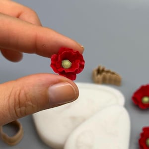 Peut inclure: Une petite fleur de coquelicot rouge avec un centre vert pâle, accompagnée de deux moules en silicone blancs, trois emporte-pièces circulaires marron, deux emporte-pièces en forme de feuille marron et trois autres petits coquelicots rouges.