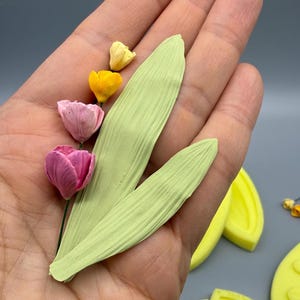 May include: Two light green leaves and four small flowers in shades of pink and yellow. The flowers are arranged in a vertical line, with two pink blossoms at the bottom and two smaller yellow buds at the top, all attached to thin green stems.