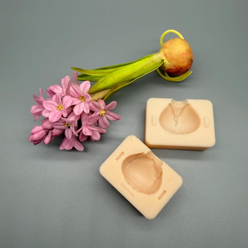 K&ouml;nnte beinhalten: Zwei beige Silikonformen mit einem Bl&uuml;tenblatt-Design, neben einer rosa Hyazinthenbl&uuml;te und einer Zwiebel mit gr&uuml;nem Stiel. Die Formen sind rechteckig mit einer in die Mitte geschnitzten Bl&uuml;tenblattform.