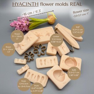 K&ouml;nnte beinhalten: Eine Sammlung beiger Silikonformen und bronzefarbener Blumenausstecher f&uuml;r die Herstellung von Hyazinthenbl&uuml;ten. Das Set enth&auml;lt Formen f&uuml;r Bl&uuml;tenbl&auml;tter, Bl&auml;tter und Zwiebeln, mit Abmessungen in Zentimetern. Der Text "HYACINTH flower molds REAL" ist oben zu sehen.