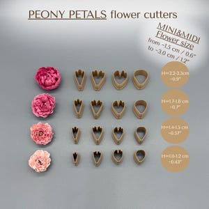 May include: A set of PEONY PETALS flower cutters in mini and midi sizes ranging from 1.5 cm (0.6 inches) to 3.0 cm (1.2 inches). The set includes four rows of brown plastic cutters alongside four pink peony flowers of varying sizes.