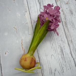 K&ouml;nnte beinhalten: Eine rosa Hyazinthenbl&uuml;te mit gr&uuml;nen Bl&auml;ttern und einer Zwiebel. Die Zwiebel ist gelb und hellbraun mit ein paar gr&uuml;nen Ranken. Die Bl&uuml;te ist ein Cluster aus kleinen, dicht gepackten Bl&uuml;ten. Die Bl&auml;tter sind lang und schlank.