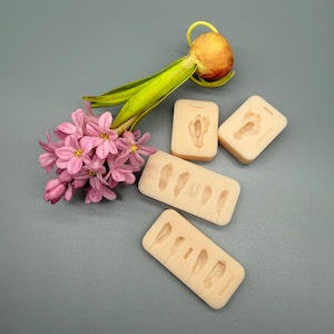K&ouml;nnte beinhalten: Ein Stillleben mit rosa Hyazinthenbl&uuml;ten, einer Zwiebel und mehreren beigefarbenen Silikonformen mit Blumen- und Federdesigns. Die Formen sind rechteckig und haben detaillierte Abdr&uuml;cke. Der Hintergrund ist einfarbig grau.