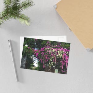 Botanical Fine Art Postcards - Floral Stationery Notes, Gift for Garden Lovers, Home Decor, Collectible Cards, Eco-Friendly