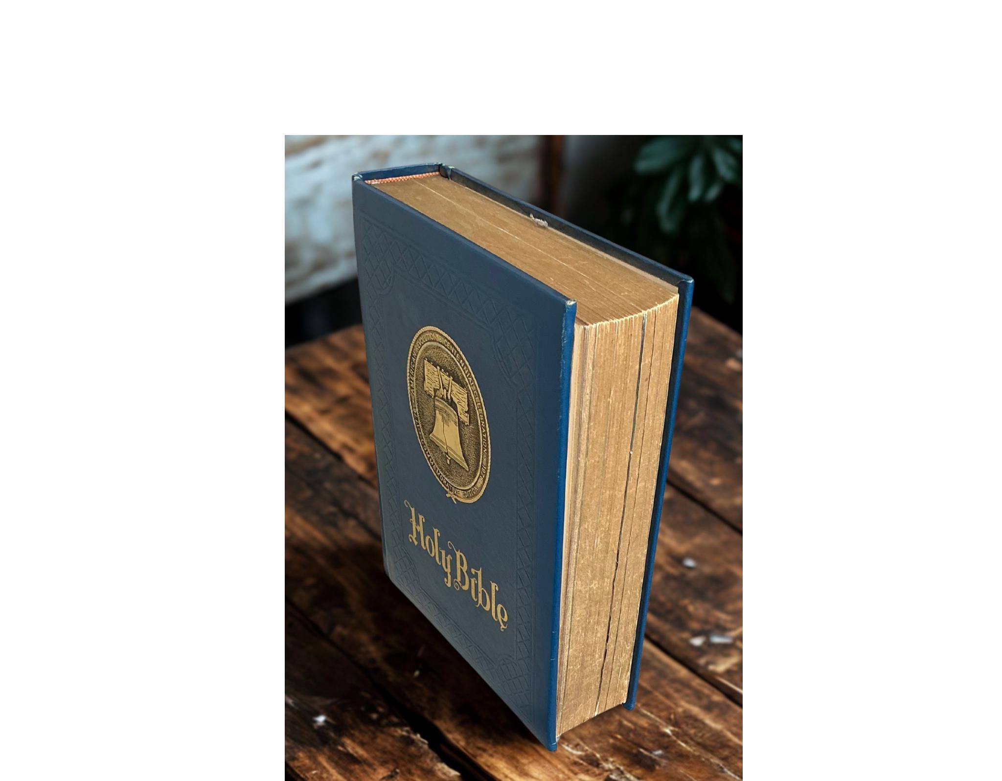 Vintage Holy Bible 1976 Freedom Edition | King James Version