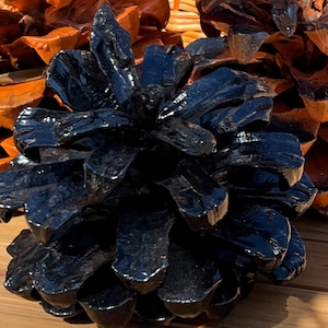 May include: A single pine cone with a glossy, deep black finish. The scales of the pine cone are coated in a reflective, dark substance, creating a smooth and shiny appearance that contrasts with the natural, textured structure of the object.
