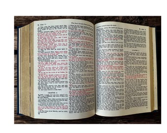Vintage Holy Bible 1976 Freedom Edition | King James Version