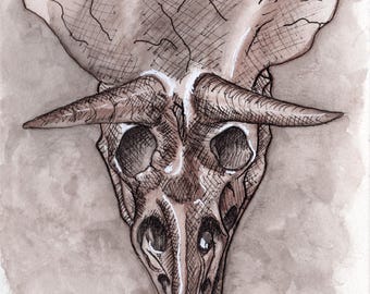 Triceratops Skull Art Print