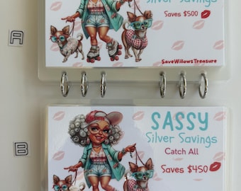 May include: Two rectangular plastic savings trackers labelled A and B, featuring a cartoon character on roller skates with two dogs. The text reads SASSY Silver Savings, SaveWillowsTreasure, and includes savings amounts of $500 and $450 with lip icons.