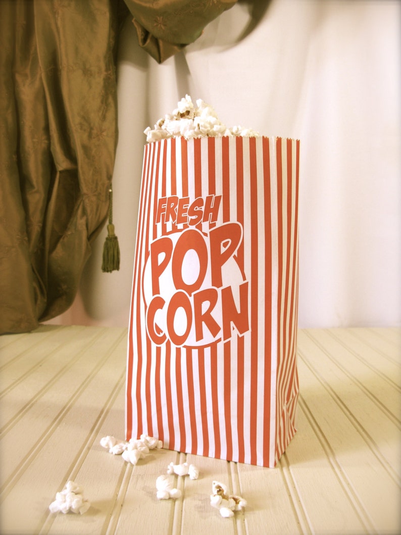 Retro Striped Popcorn Party Bags, Paper, Gusseted, Carnival, Circus Themed Kids Party set of 10 image 1