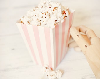 Mini Pink Stripe Popcorn Boxes, Princess Party, Baby Shower, set of 4