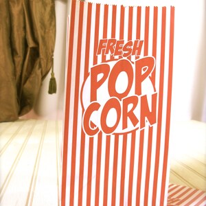 Retro Striped Popcorn Party Bags, Paper, Gusseted, Carnival, Circus Themed Kids Party set of 10 image 5