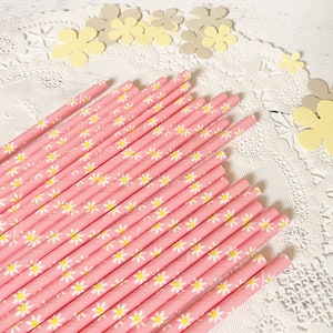 Pink Daisy Straws, Spring Party, Vintage Style Paper, Daisy Wedding Baby Shower, Flower Power, 60's Party, Cake Pop Sticks