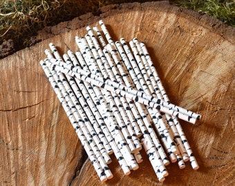Birch Paper Straws, Vintage Style, Woodland Wedding Theme, Black and White,Cake Pop Sticks,  25 straws