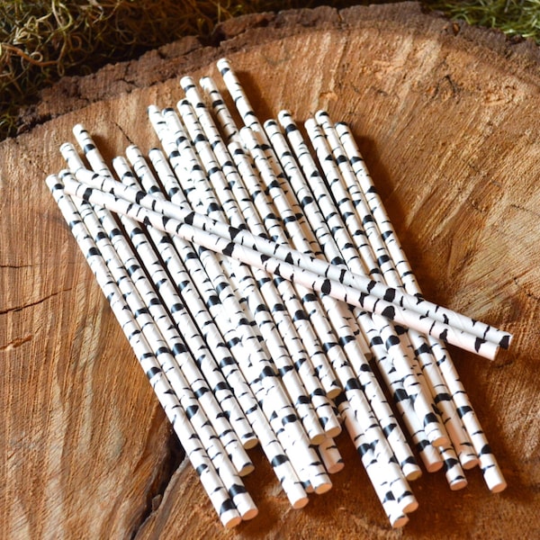 Birch Paper Straws, Vintage Style, Woodland Wedding Theme, Black and White,Cake Pop Sticks,  25 straws