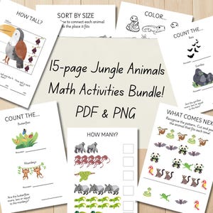 Jungle Animals Math Worksheets Printable|Preschool Counting Sorting Activities|Toddler Math Busy Book Pages|Rainforest Educational Digital