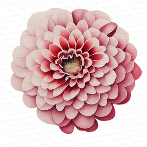 10 PNG de flores transparentes: descarga digital, ilustraciones florales, proporción 1:1, arte botánico imprimible, scrapbooking y elementos de diseño