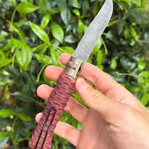 May include: A folding knife with a textured, reddish-brown wooden handle and a silver blade. The blade is partially open, revealing its sharp edge. A black metal clip is attached to the handle. The knife is held against a backdrop of green foliage.