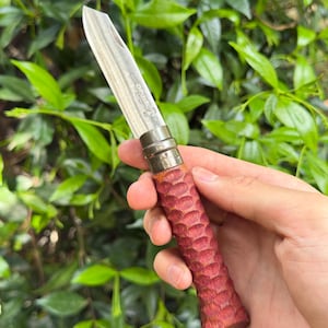May include: A pocket knife with a stainless steel blade and a red, textured wooden handle. The knife is open, revealing the blade. The handle has a carved pattern. The knife is held against a backdrop of green foliage.