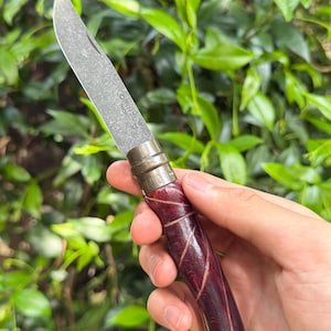 May include: A pocket knife with a stainless steel blade and a dark burgundy wooden handle. The knife is held against a backdrop of green foliage. The blade has the word "Opinel" etched on it.