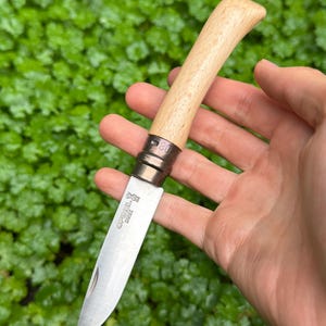 May include: A pocket knife with a light wood handle and a stainless steel blade. The knife has a silver metal collar and the brand name "Opinel" is visible on the blade. The knife is held against a background of green foliage.