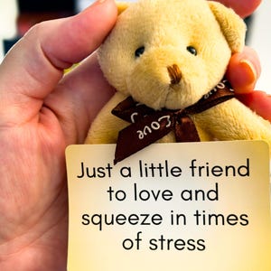 Op de afbeelding: Een kleine beige pluche teddybeer met een bruin lint om de nek met het woord love erop. De beer houdt een rechthoekige gele kaart vast met de zwarte tekst: Just a little friend to love and squeeze in times of stress.