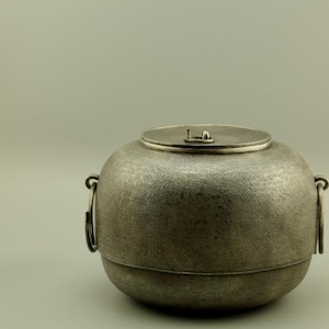 Pode incluir: Uma chaleira de ferro fundido prateada com duas alças e uma tampa. A chaleira tem uma superfície texturizada e uma forma redonda.