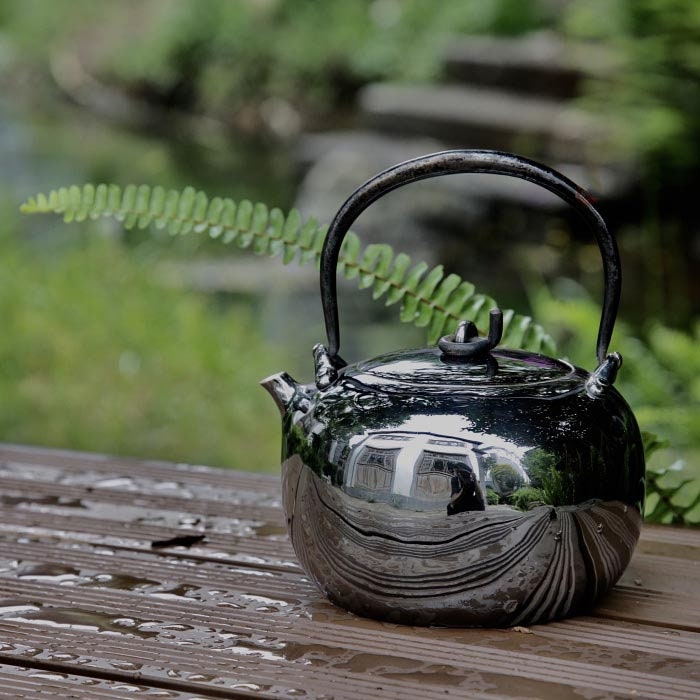 Cast Iron Teapot with Infuser, 40.6oz Tea Kettle for Stovetop Japanese